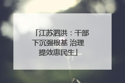江苏泗洪：干部下沉强根基 治理提效惠民生