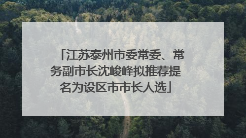 江苏泰州市委常委、常务副市长沈峻峰拟推荐提名为设区市市长人选