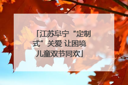 江苏阜宁“定制式”关爱 让困境儿童双节同欢
