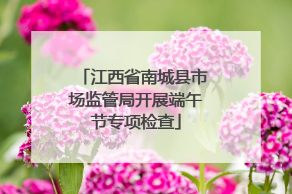 江西省南城县市场监管局开展端午节专项检查