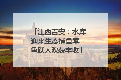 江西吉安：水库迎来生态捕鱼季 鱼跃人欢获丰收