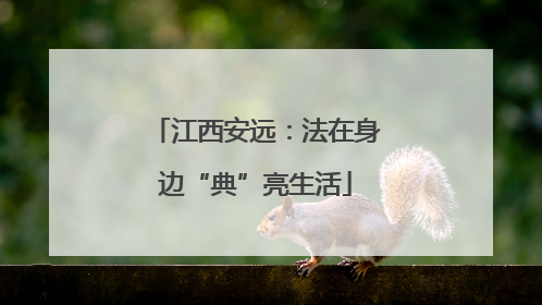 江西安远：法在身边“典”亮生活
