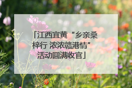 江西宜黄“乡亲桑梓行 浓浓赣港情”活动圆满收官