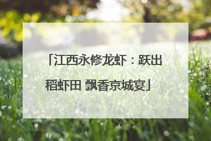 江西永修龙虾：跃出稻虾田 飘香京城宴