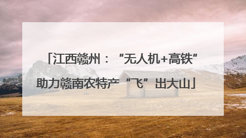 江西赣州：“无人机+高铁”助力赣南农特产“飞”出大山