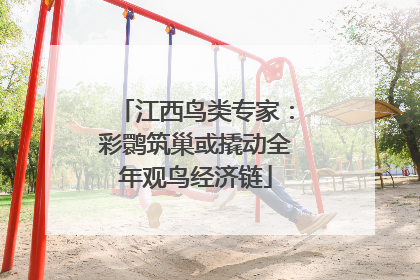 江西鸟类专家：彩鹮筑巢或撬动全年观鸟经济链