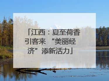江西：夏至荷香引客来 “美丽经济”添新活力