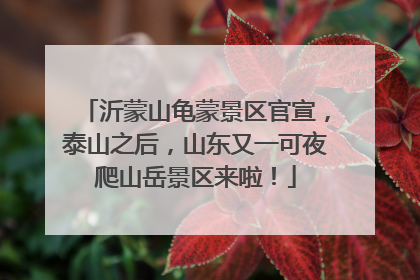 沂蒙山龟蒙景区官宣，泰山之后，山东又一可夜爬山岳景区来啦！