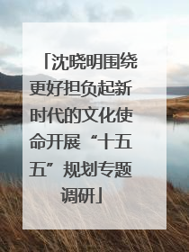 沈晓明围绕更好担负起新时代的文化使命开展“十五五”规划专题调研