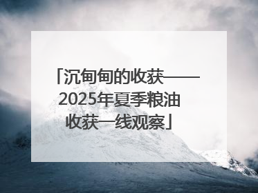 沉甸甸的收获——2025年夏季粮油收获一线观察
