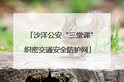 沙洋公安“三堂课”织密交通安全防护网