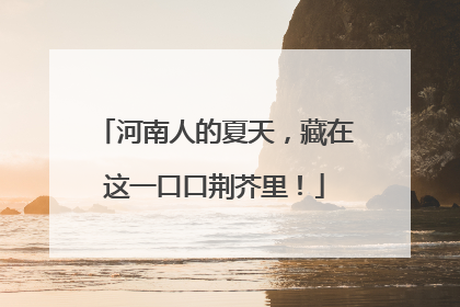 河南人的夏天，藏在这一口口荆芥里！