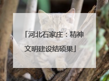 河北石家庄：精神文明建设结硕果