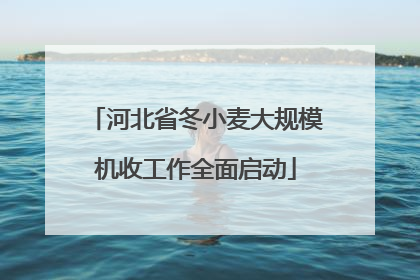 河北省冬小麦大规模机收工作全面启动