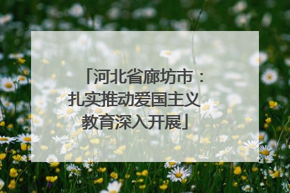 河北省廊坊市：扎实推动爱国主义教育深入开展