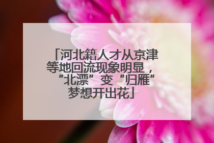 河北籍人才从京津等地回流现象明显，“北漂”变“归雁” 梦想开出花
