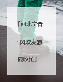 河北宁晋：风吹麦浪夏收忙