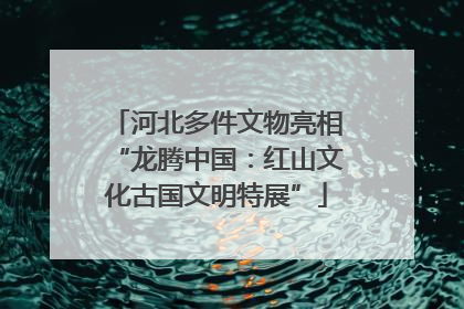 河北多件文物亮相“龙腾中国：红山文化古国文明特展”