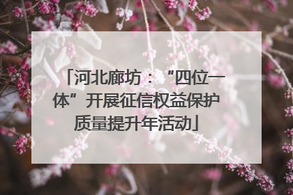 河北廊坊：“四位一体”开展征信权益保护质量提升年活动