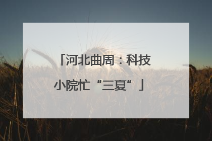 河北曲周：科技小院忙“三夏”