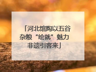 河北馆陶以五谷杂粮“绘就”魅力非遗引客来