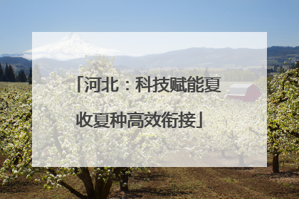 河北：科技赋能夏收夏种高效衔接
