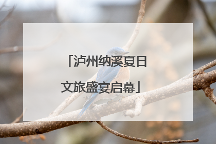 泸州纳溪夏日文旅盛宴启幕