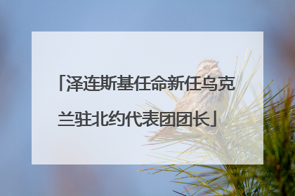 泽连斯基任命新任乌克兰驻北约代表团团长