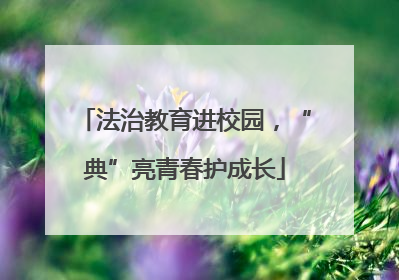 法治教育进校园，“典”亮青春护成长