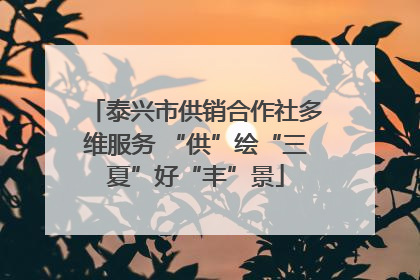 泰兴市供销合作社多维服务 “供”绘“三夏”好“丰”景