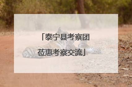 泰宁县考察团莅惠考察交流