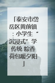 泰安市岱岳区黄前镇：小学生“沉浸式”学传统 粽香荷包暖夕阳