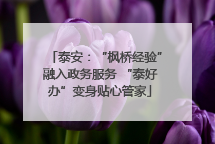 泰安：“枫桥经验”融入政务服务 “泰好办”变身贴心管家