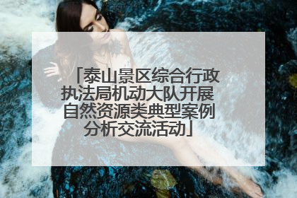 泰山景区综合行政执法局机动大队开展自然资源类典型案例分析交流活动