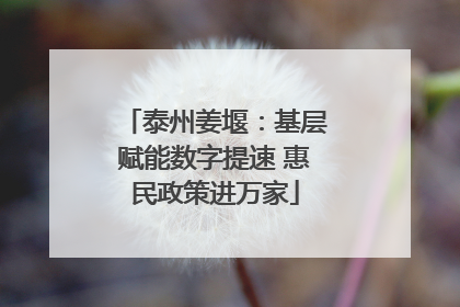 泰州姜堰：基层赋能数字提速 惠民政策进万家