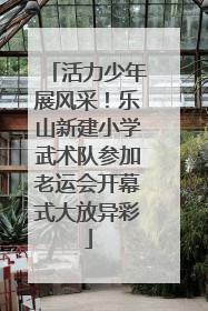 活力少年展风采！乐山新建小学武术队参加老运会开幕式大放异彩