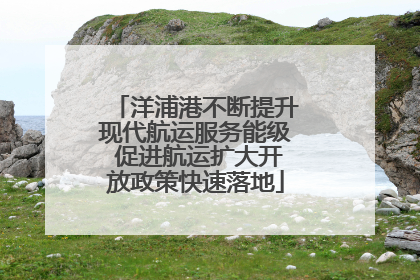 洋浦港不断提升现代航运服务能级 促进航运扩大开放政策快速落地
