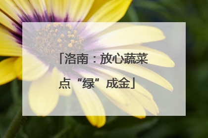 洛南：放心蔬菜点“绿”成金