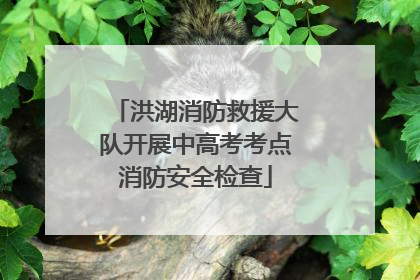 洪湖消防救援大队开展中高考考点消防安全检查