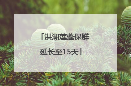 洪湖莲蓬保鲜延长至15天