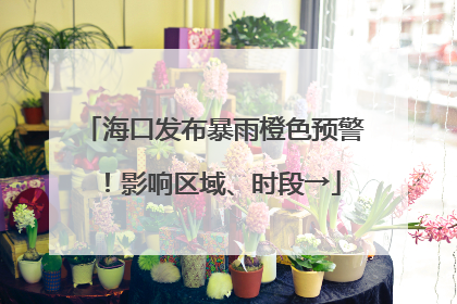 海口发布暴雨橙色预警！影响区域、时段→