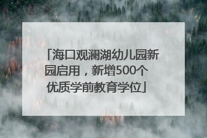 海口观澜湖幼儿园新园启用，新增500个优质学前教育学位