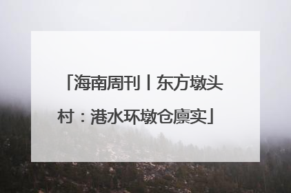 海南周刊丨东方墩头村：港水环墩仓廪实