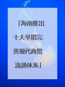 海南推出十大举措完善现代商贸流通体系