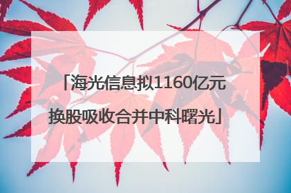 海光信息拟1160亿元换股吸收合并中科曙光