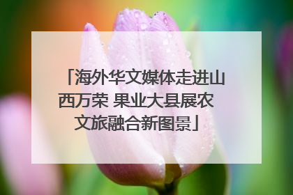 海外华文媒体走进山西万荣 果业大县展农文旅融合新图景
