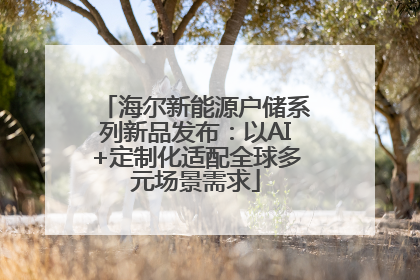 海尔新能源户储系列新品发布：以AI+定制化适配全球多元场景需求