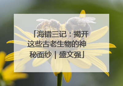 海错三记：揭开这些古老生物的神秘面纱｜盛文强