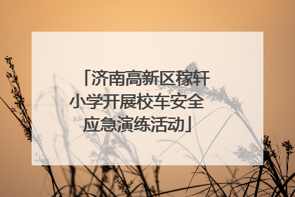 济南高新区稼轩小学开展校车安全应急演练活动