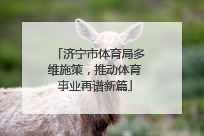 济宁市体育局多维施策，推动体育事业再谱新篇